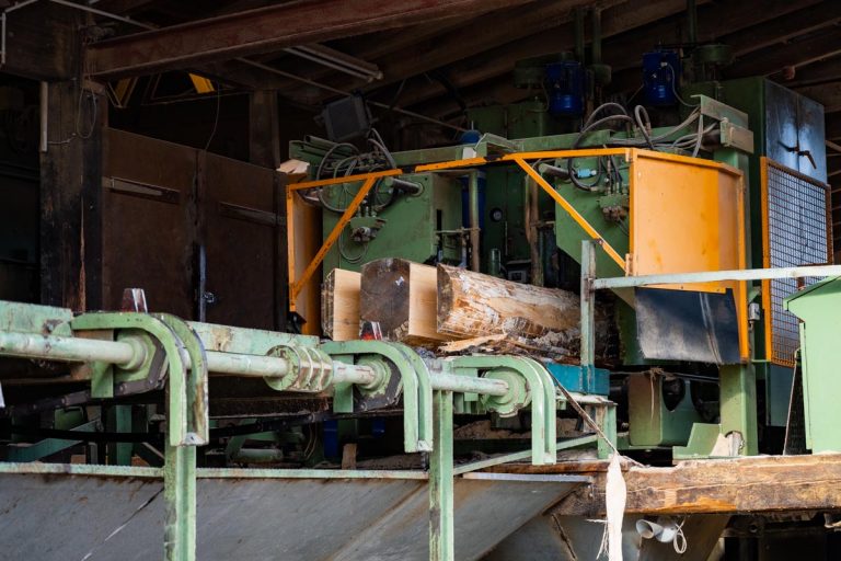 Bild zeigt die Weiterverarbeitung und den Zuschnitt eines Baumstamms im Sägewerk der Firma Kaulich bei Eschwege.