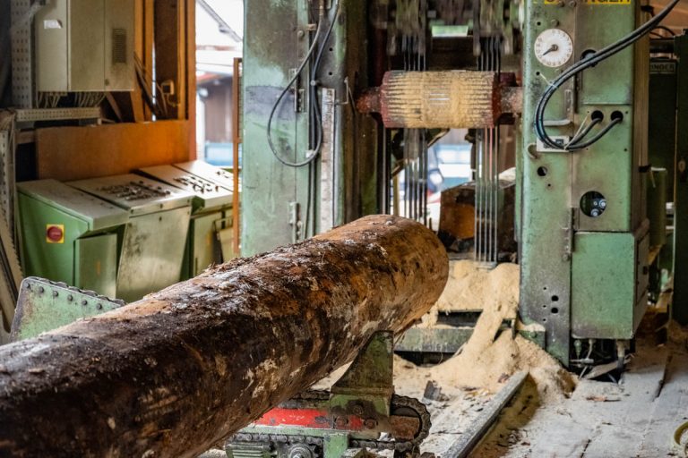 Ein Baumstamm wird im Sägewerk Kaulich in Berkatal nahe Eschwege für den Holzhandel weiterverarbeitet